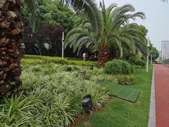 -北外滩滨江绿地