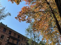 -中山大学（南校区）-英东游泳场