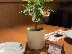 -CURRY YA 熟成咖哩專門店(深圳湾万象城店)