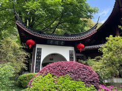 -十八棵（老龙井）御茶园(老龙井店)