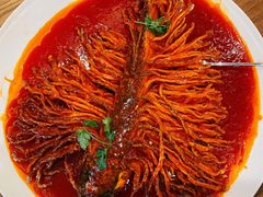 金毛狮子鱼-丹江渔村(望京店)