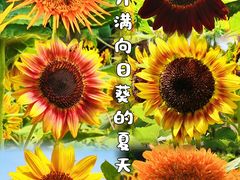 -郑州植物园
