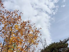 -万达广场(龙湖店)