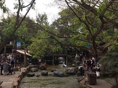 -黄龙溪古镇