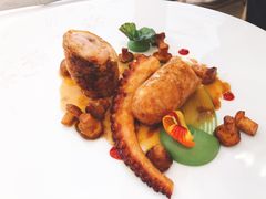兔子肉和章鱼-Epicure