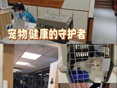 -派联宠物医院·24h·CT·异宠