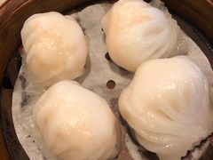 -添运来(茶园奥园广场店)