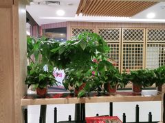 -高第街56号餐厅(银座商城玉函店)
