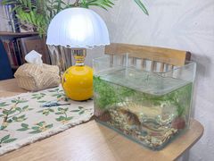 -昼夜咖啡馆
