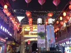 -王阿姨文昌油赞子(府桥街店)