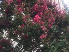 -云南师范大学(一二一西南联大校区)
