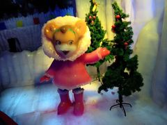 -苏州乐园森林水世界