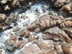 -碧桂园十里银滩