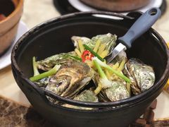-九道菜有鸡鱼头(石鼓路店)