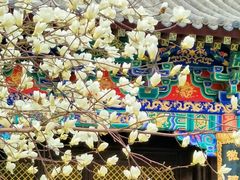 -护国法轮寺