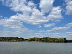 -昆山城市生态森林公园