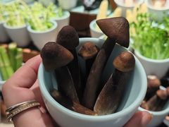 -雍和会海鲜姿造自助(湖东路店)