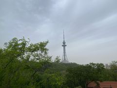 -青岛电视塔