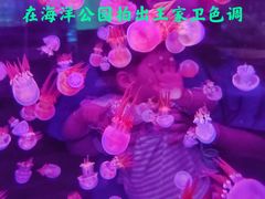 -杭州海底世界