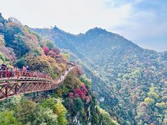 -少华山国家森林公园