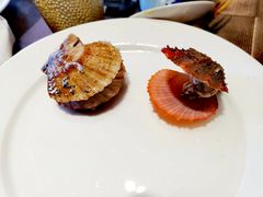扇贝-中泰开元名庭酒店·地中海自助餐