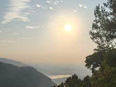 -铁山坪森林公园