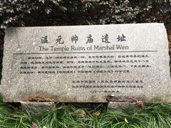 -温元帅庙遗址