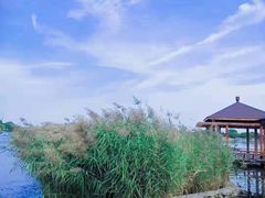 -河北省园博园