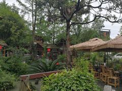 -青城甲(青城山店)