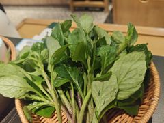 -季季山·云南野生菌火锅(上海首店)