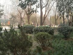 -城市运动公园(未央区)