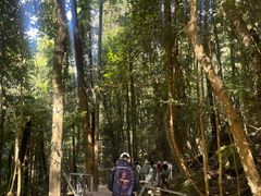 -悉尼蓝山三姐妹峰
