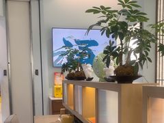 -长风拨筋养身(金虹桥店)