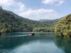 -鼎湖山风景区