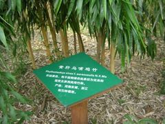 -安吉竹博园