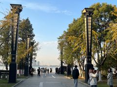 -燕鸣岛