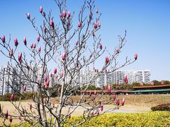 -白塘生态植物园