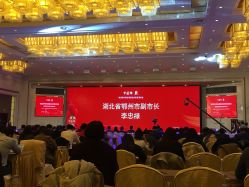 -天泰一站式婚宴·宴会厅