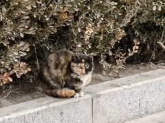 -炳灵寺世界文化遗产旅游区
