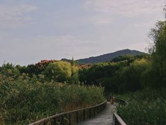 -长广溪湿地公园