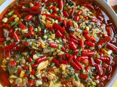 -胖大姐黄辣丁鱼庄(新津店)