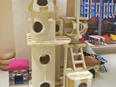 -藏猫猫咖啡主题馆(中央大道店)