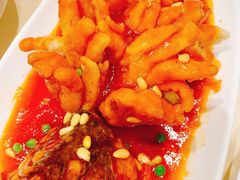 松鼠鳜鱼-顺风海鲜港(金玉兰店)