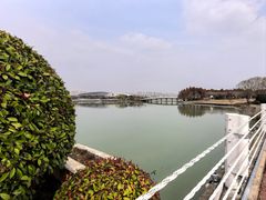 -贡湖湾湿地公园