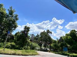 -长沙纹身·龙堂刺青·三土师傅的店