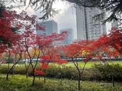 -上海不夜城广场(上海不夜城金融大厦店)