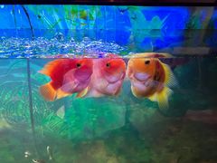 -汉仁宫·古法按摩·足道·SPA(沙井店)