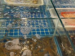 -阿杰臻选海鲜饭店(普陀山店)