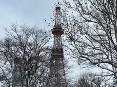 -大通公园