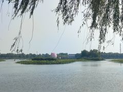 -白洋淀景区
